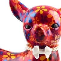 Chihuahua Nanou | Spaarpot