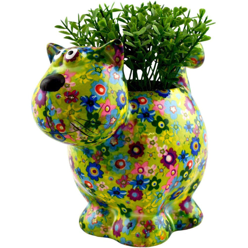 Cat Dorothy | Planter