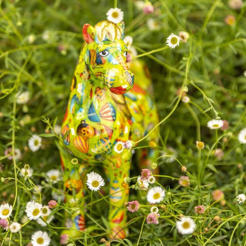 Horse Joy | Money Box