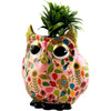 Owl Olive | Planter
